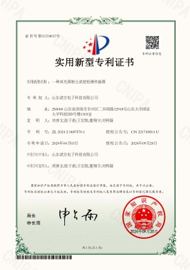 【NF24-2-01】一种双光源粉尘浓度检测传感器-202420687570.1.jpg